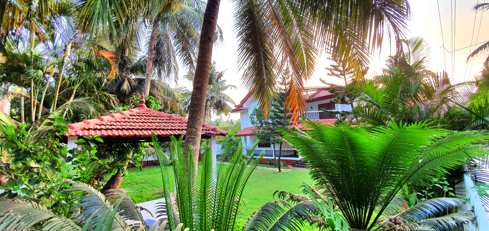 View of Villa Splendore Goa from garden